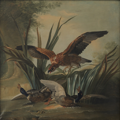 A Hawk Puncing on a Pair of Ducks by Jean-Baptiste Oudry