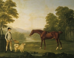 A Jockey in, possibly, the Duke of Grafton's colours with a Chestnut Racehorse and a Pomeranian Dog in a Park by Anonymous