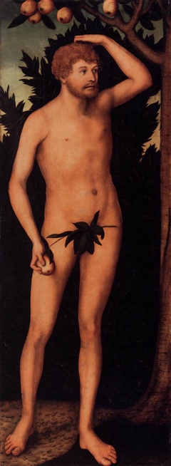 Adam by Lucas Cranach the Younger