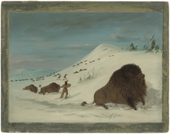 Buffalo Lancing in the Snow Drifts - Sioux