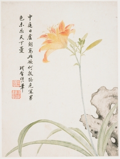 Day-Lily from a Flower Album of Ten Leaves by Xiang Shengmo