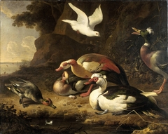 Ducks by Melchior d'Hondecoeter