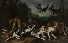 Fight between Dogs and Wolves