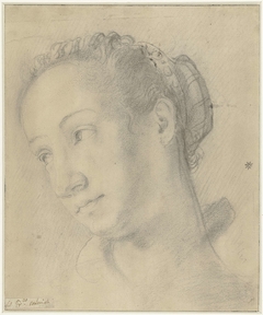 Hoofd van een jonge vrouw, driekwart naar links by Francesco Salviati