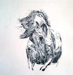 Horse 1 by Katerina Evgenieva