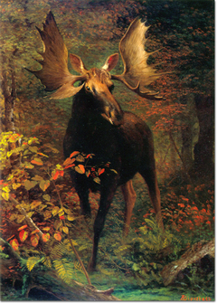 In the Forest by Albert Bierstadt