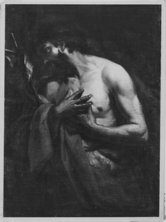 Johannes der Täufer by Domenico Zanetti