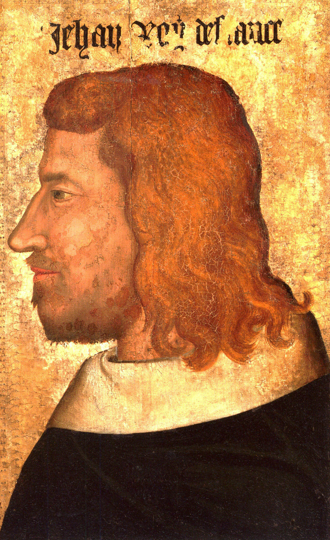 King John II of France in profile