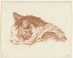 Kop van een slapende kat by Jean Bernard