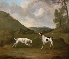 Late Compton's 'Dashwood' and 'Dulcet', a Pair of Hounds