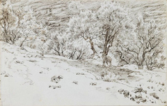 Olive Trees, Valley of Hinnom by James Tissot
