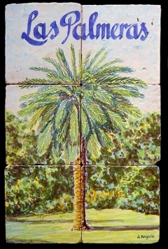Palm tree by José Angulo