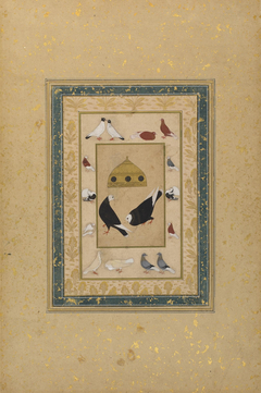 Pigeons Around a Dovecote by Ustad Mansur