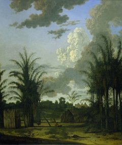 Plantation in Suriname by Dirk Valkenburg
