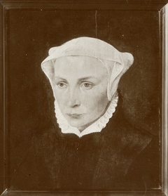 Portrait of a Woman of the Centen Family