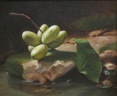 Still-life with Paw Paws