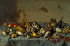 Still life with Shells by Balthasar van der Ast