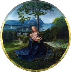 The Virgin and Child in a Landscape by Albert Cornelis