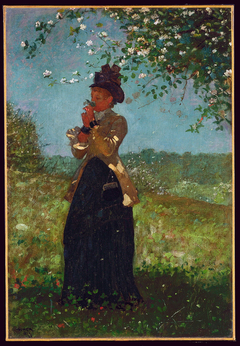 The Yellow Jacket by Winslow Homer