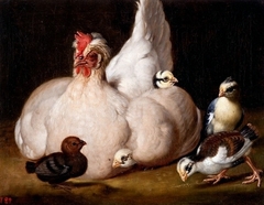 White hen with chickens by Anton Ignaz Hamilton