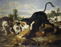 A Bull torn apart by Dogs