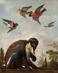 A Captive Diana Monkey on a Wall against a Landscape with Four Colorful Birds in the Sky by Melchior d'Hondecoeter