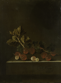 A Sprig of Gooseberries on a Stone Plinth by Adriaen Coorte