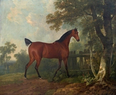 'Amaranth', the property of A. B. St Leger Esq., 1769 by Anonymous