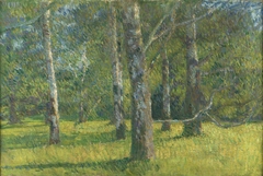 Birches in Laxenburg by Matija Jama