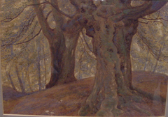 Burnham Beeches by Thomas Charles Farrer