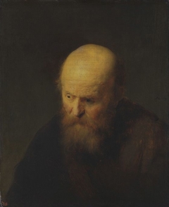 Bust of an old man with a bald head by Rembrandt