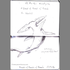Carnet Bleu: Encyclopedia of…shark, vol.IV p13 by Pascal by Pascal Lecocq