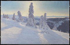 Feldbergtannen in Eis und Schnee by Hermann Dischler