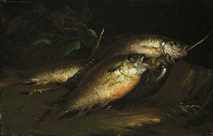 Fish by Shepard Alonzo Mount