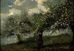 Girl Picking Apple Blossoms by Winslow Homer