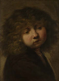 Head of a Boy by Unknown Artist