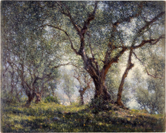 Les oliviers à Menton by Henry Brokman