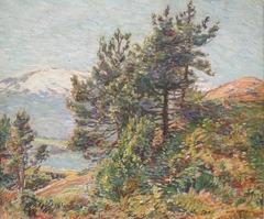 Norway Pines Landscape by Walter Griffin