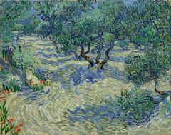 Olive Orchard by Vincent van Gogh