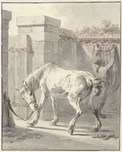 Ongezadeld paard met de toom aan een paal vastgemaakt by Jan Anthonie Langendijk Dzn