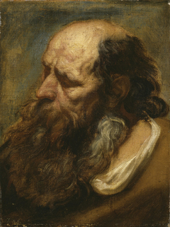 Portrait study of an old bearded man by Anthony van Dyck