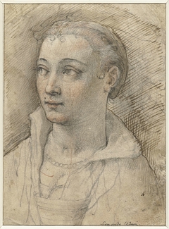 Portret van onbekende vrouw by Federico Zuccaro