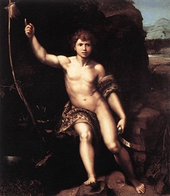 Saint John the Baptist by Raphael