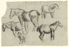 Schetsblad met diverse studies van paarden by Leo Gestel