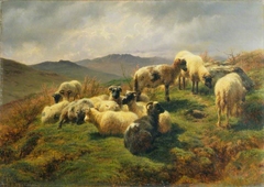 Sheep in the Highlands by Rosa Bonheur