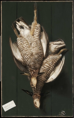 Still Life with Two Game Birds by Alexander Pope