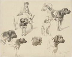 Studies van een hondenkar en een hond by Willem Pieter Hoevenaar