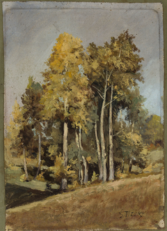 Study of trees by Stanisław Filibert Fleury