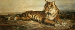 Tigre by Ramon Martí Alsina