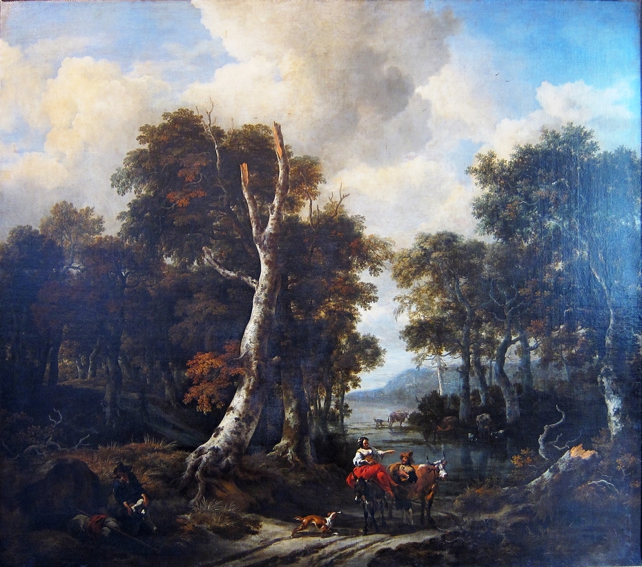 Wooded landscape with a flooded road